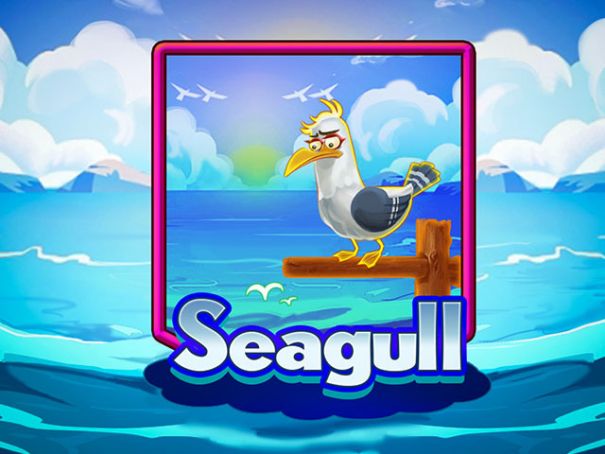 Seagull