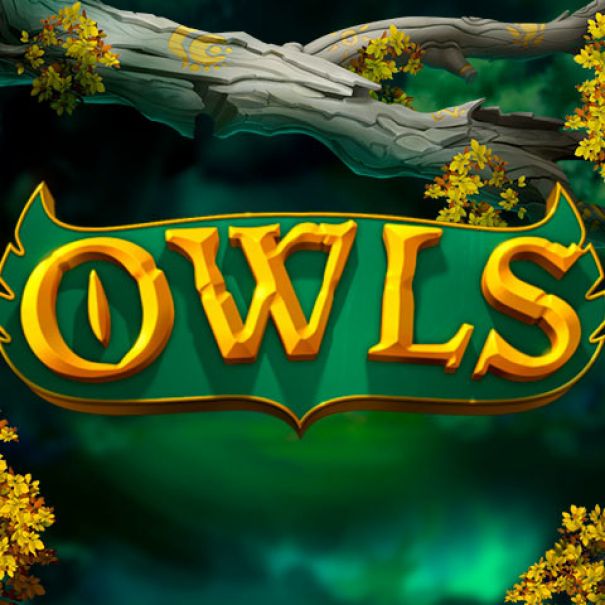 Owls