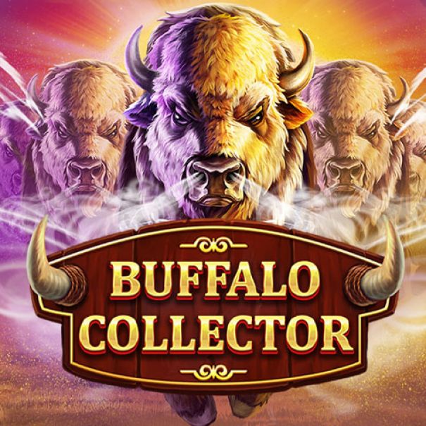 Buffalo Collector