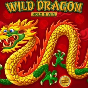 Wild Dragon HOLD&WIN