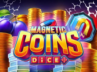 Magnetic Coins Dice