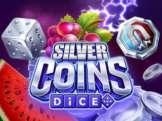 Silver Coins Dice