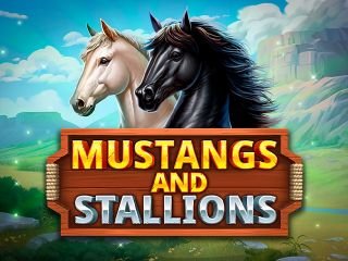 Mustangs and Stallions