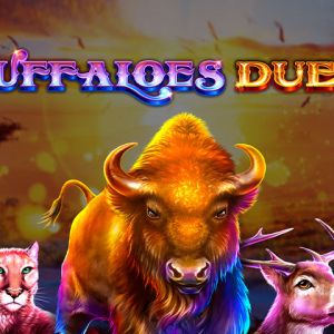 Buffaloes Duel