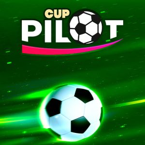 Pilot Cup