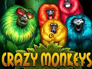 Crazy Monkeys