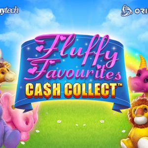 Fluffy Favourites: Cash Collect™