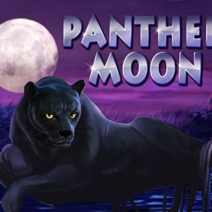 Panther Moon