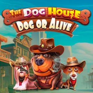 The Dog House – Dog or Alive