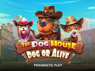 The Dog House – Dog or Alive