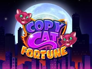 Copy Cat Fortune