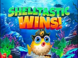 Shelltastic Wins!