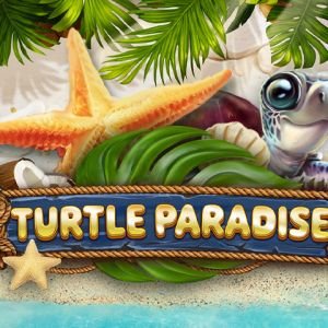 Turtle Paradise