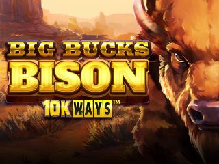 Big Bucks Bison 10K WAYS