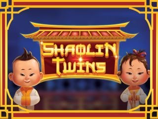 Shaolin Twins