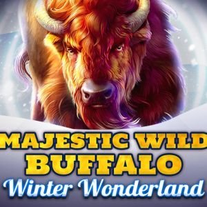 Majestic Wild Buffalo - Winter Wonderland