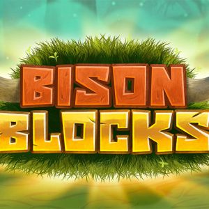 Bison Blocks