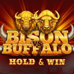 Bison vs Buffalo