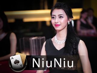 NiuNiu