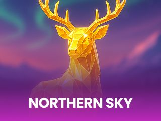 Northern Sky